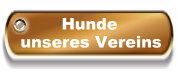 Hunde unseres Vereins